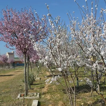 La Huella Verde