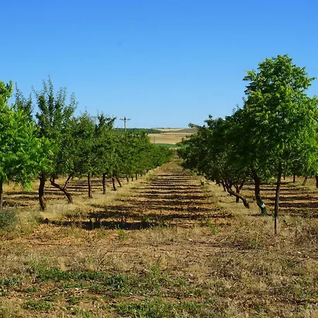 Auberge de jeunesse La Huella Verde *